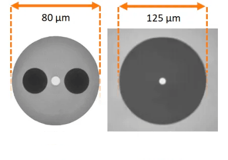 news-452-317 news-452-317